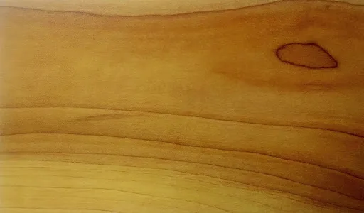 Yellow poplar wood sample