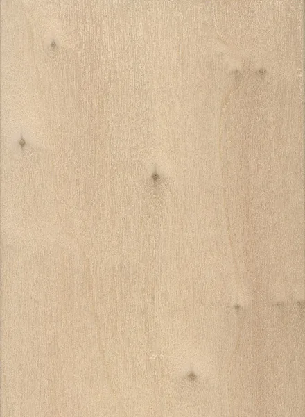 Poplar wood sample